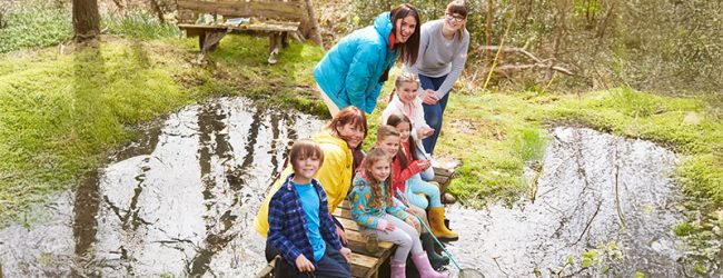 Dépliant BAFA BAFD 2026